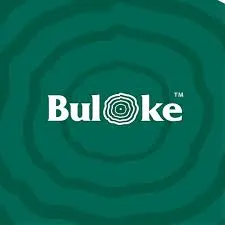 Buloke Realty logo
